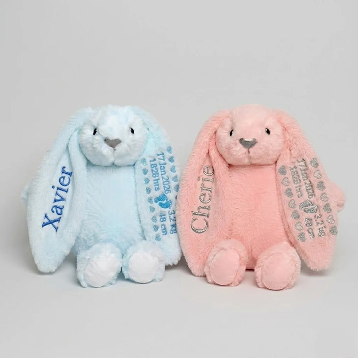 Two plush bunnies, one blue and one pink, with embroidered names and birth details 