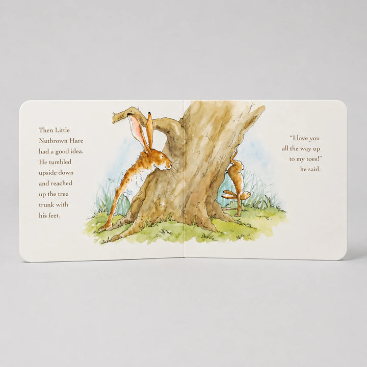Guess How Much I Love You Board Book Open to Little Nutbrown Hare Illustration