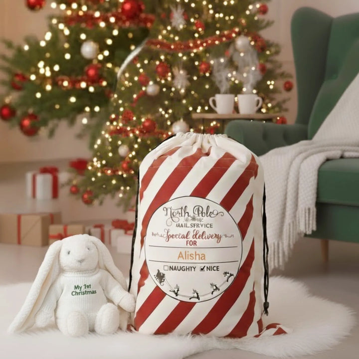 Red and white striped gift bag with personalized name in front of a decorated Christmas tree.