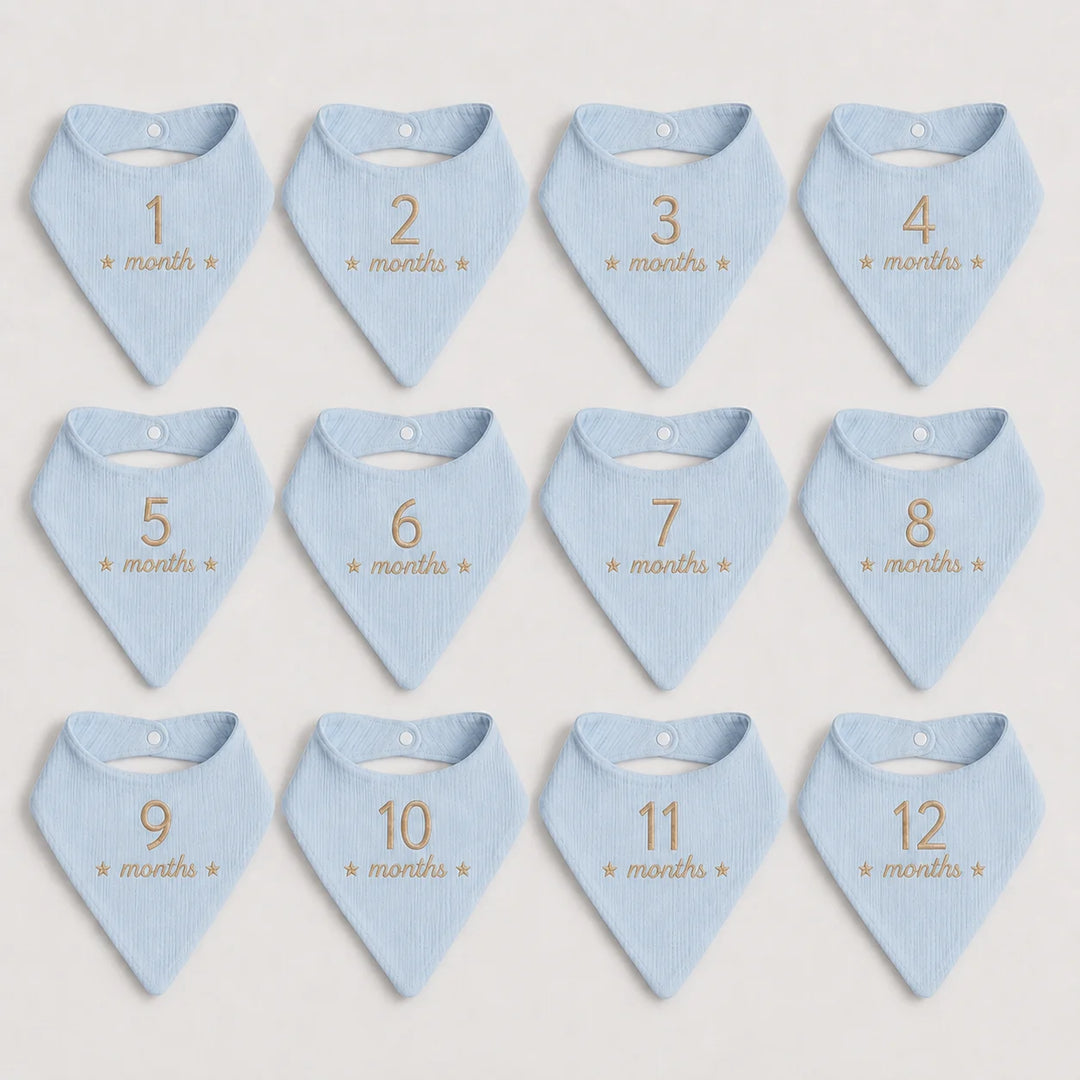 Twelve blue baby bibs - each bib is labeled with a number from 1 to 12, with the text '* month *' printed below the number in a beige thread.