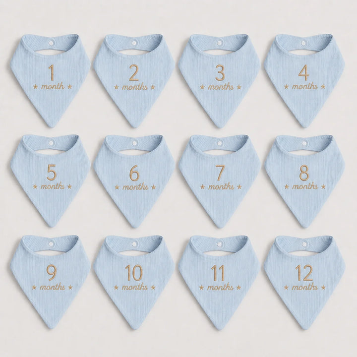 Twelve blue baby bibs - each bib is labeled with a number from 1 to 12, with the text '* month *' printed below the number in a beige thread.