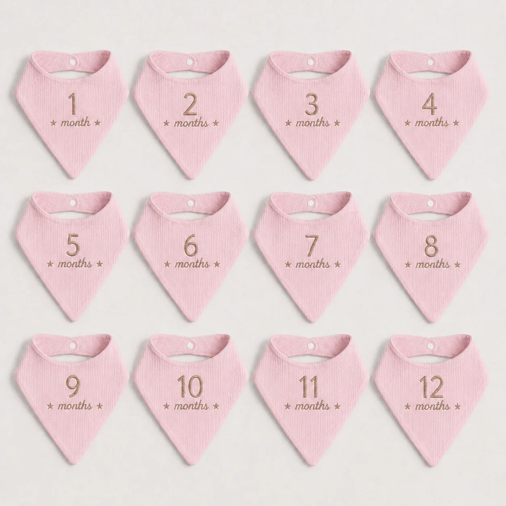 Twelve pink baby bibs - each bib is labeled with a number from 1 to 12, with the text '* month *' printed below the number in a beige thread.