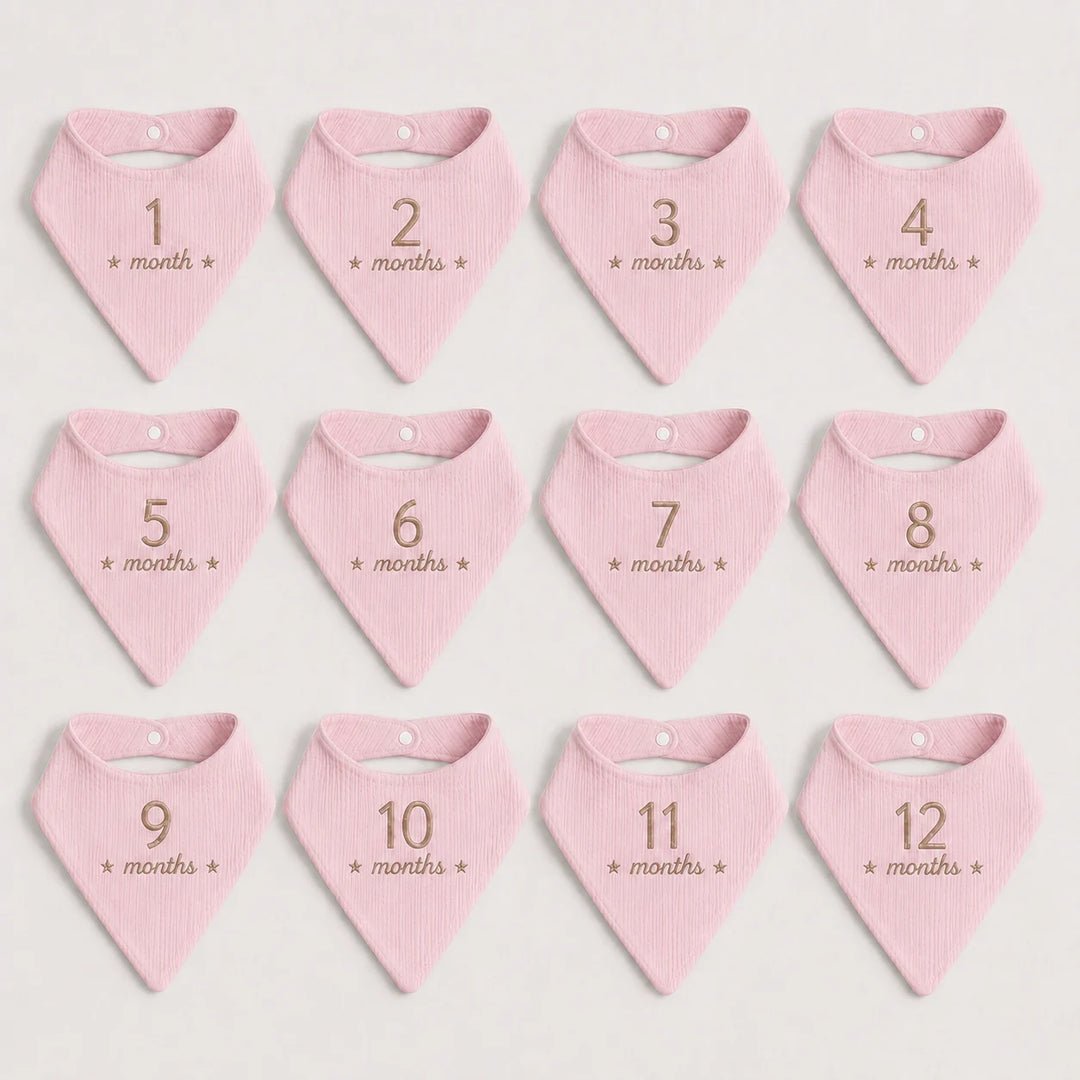 Twelve pink baby bibs - each bib is labeled with a number from 1 to 12, with the text '* month *' printed below the number in a beige thread.