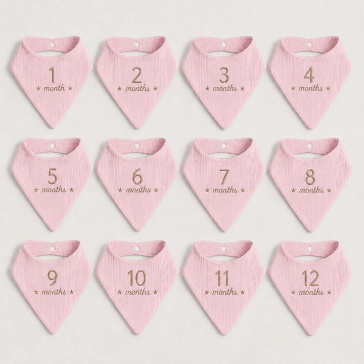 Twelve pink baby bibs - each bib is labeled with a number from 1 to 12, with the text '* month *' printed below the number in a beige thread.