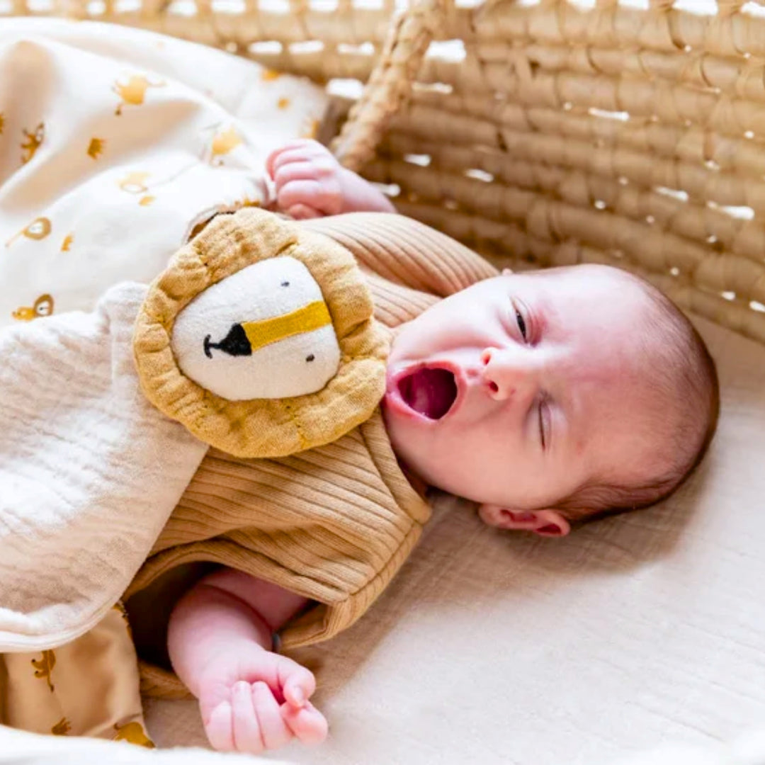 Trixie Lion baby comforter with newborn baby, soft comforter gift UAE